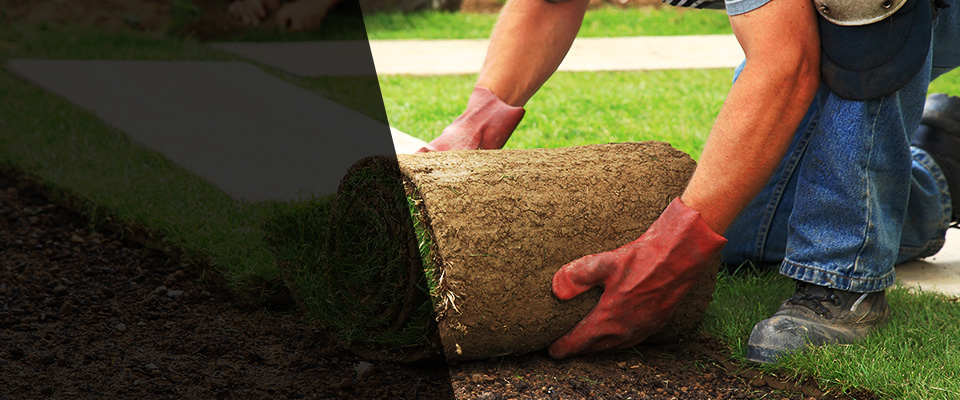 Penns Park Landscapers